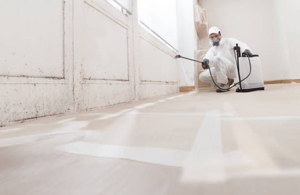 24/7 Emergency Bathroom Mold Removal experts in Holland, MI