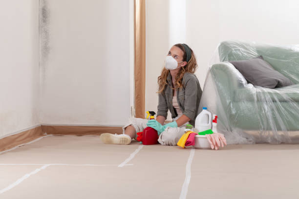Reliable Bathroom Mold Removal contractor in Holland, MI by Mold Remediation HQ